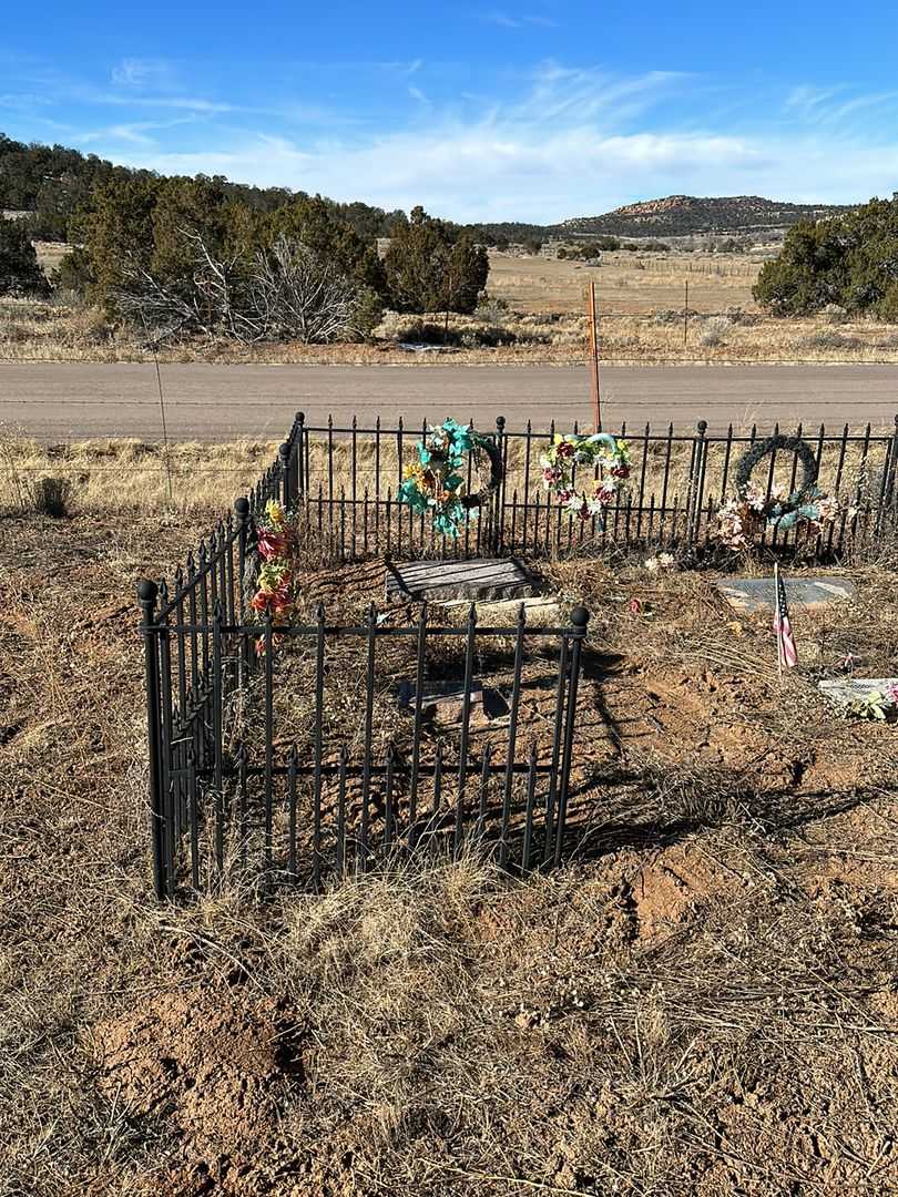 Cecelia Barnes Swartz's grave. Photo 1