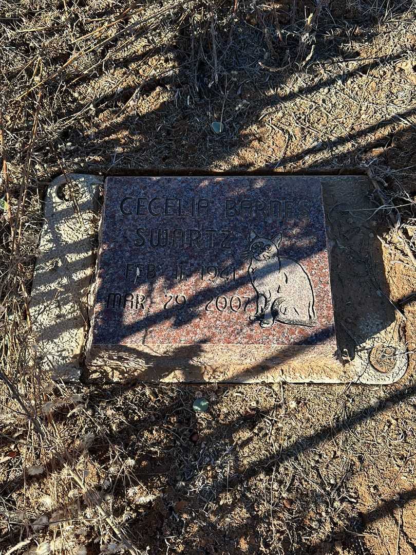 Cecelia Barnes Swartz's grave. Photo 2