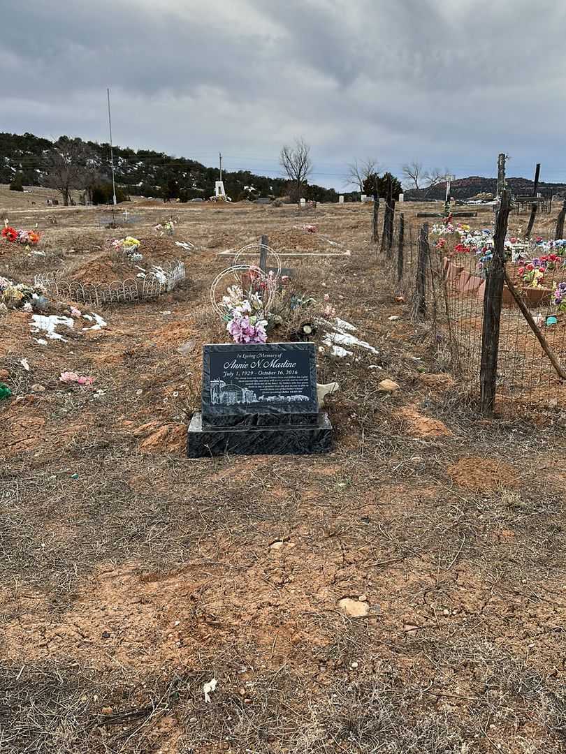 Annie N. Martine's grave. Photo 2