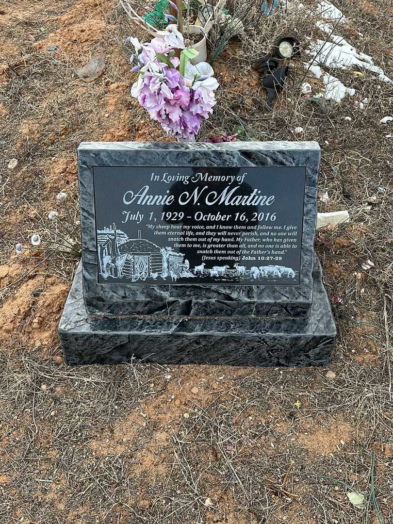 Annie N. Martine's grave. Photo 1