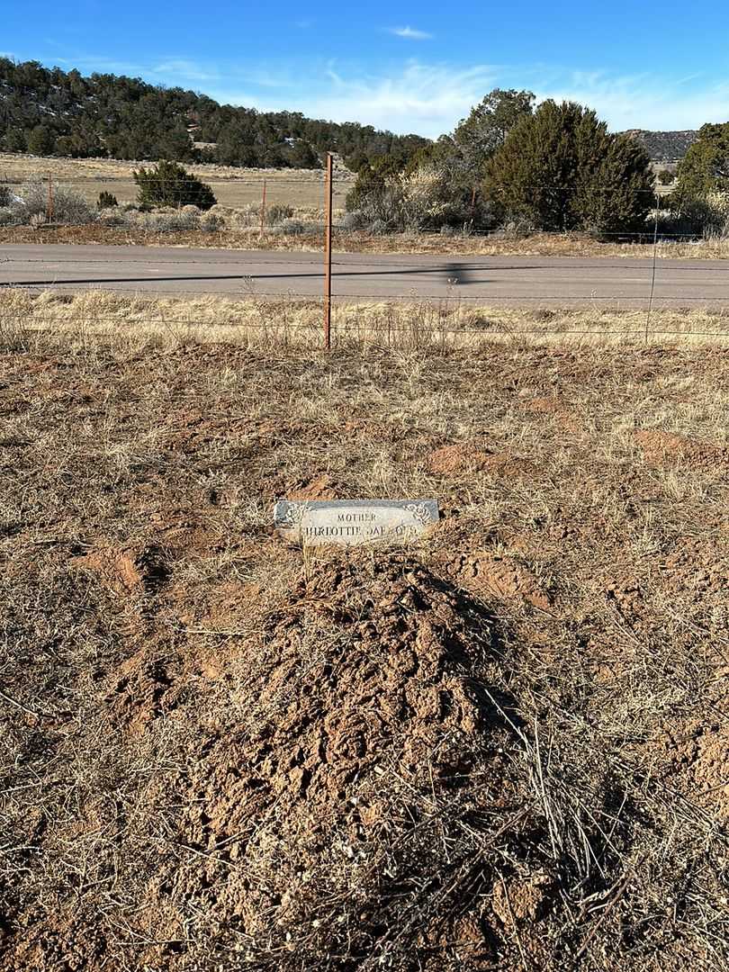 Shirlottie Darnold's grave. Photo 2