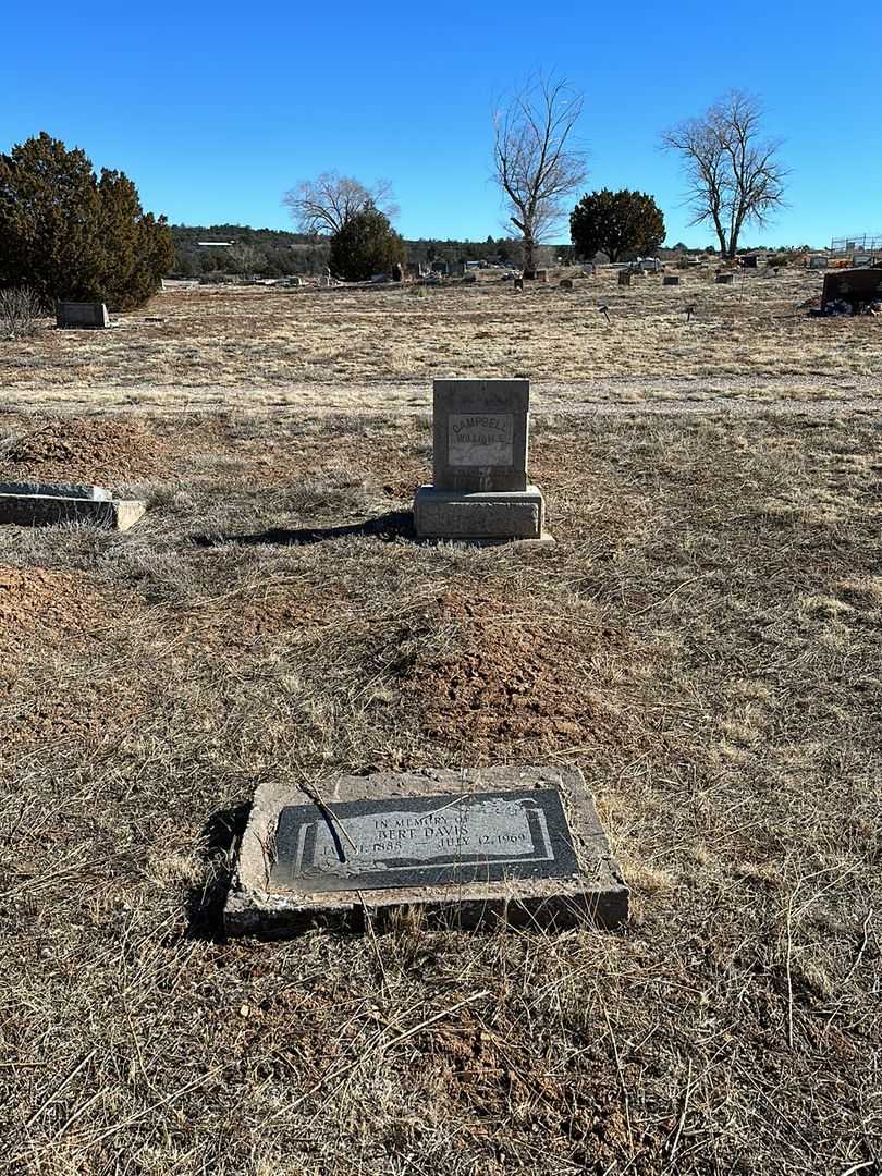 Bert Davis's grave. Photo 2