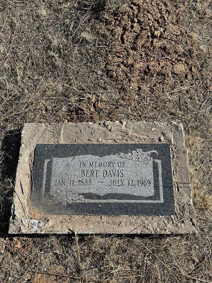 Bert Davis's grave. Photo 1