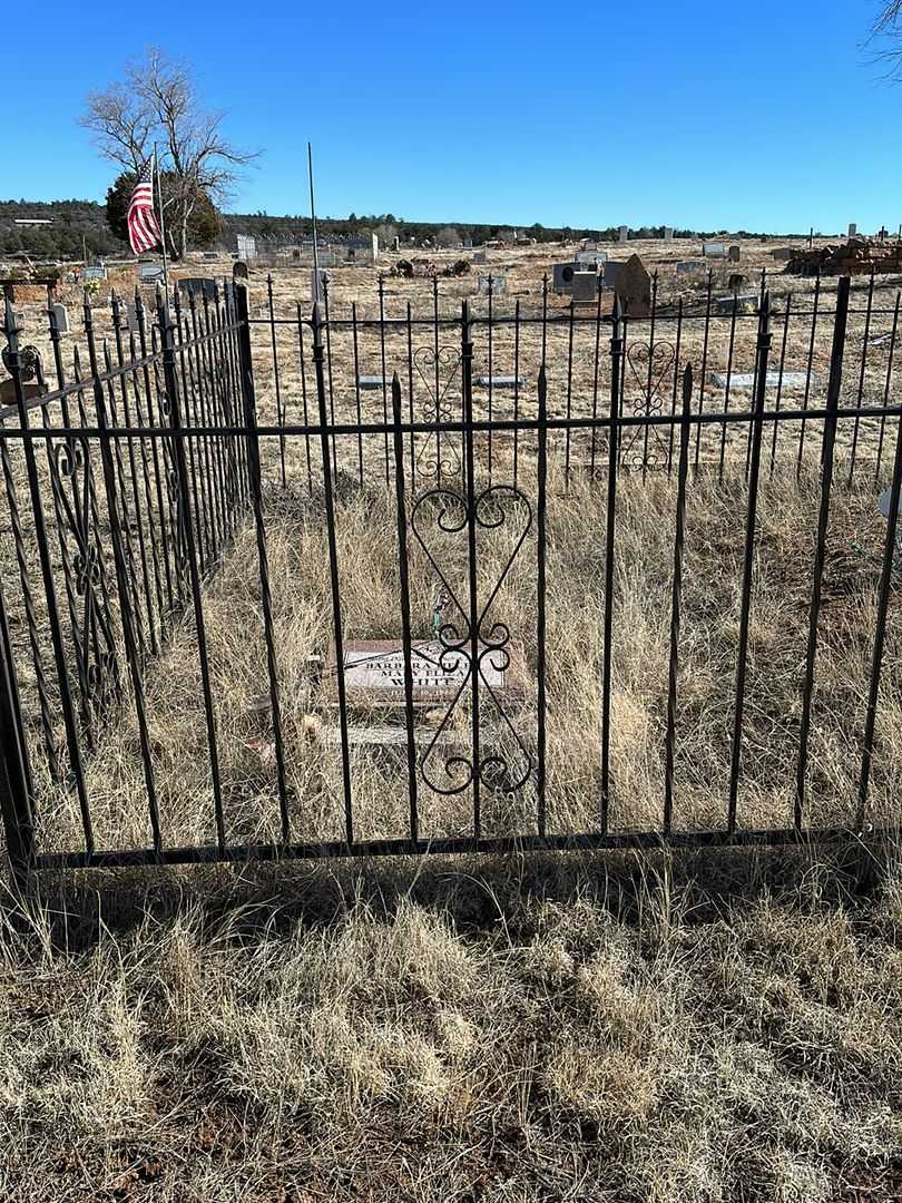 Barbara Helen White's grave. Photo 2
