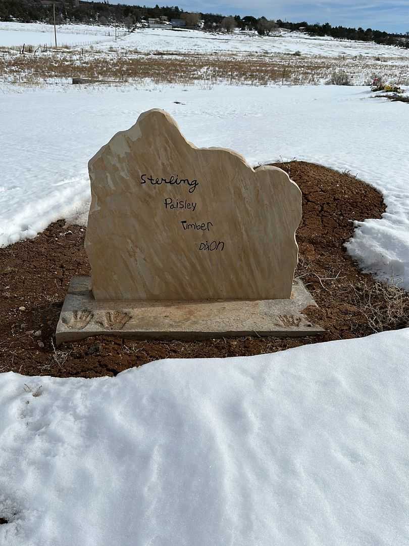 Richard Bryce River's grave. Photo 3