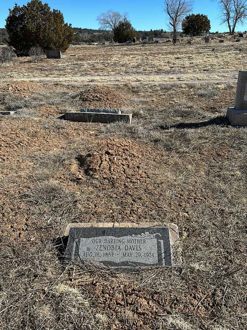 Zenobia Campbell Davis's grave. Photo 2