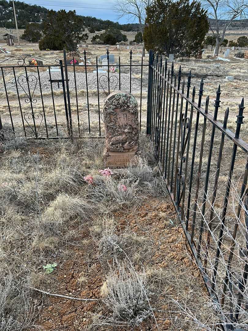 Harriet James Raestle's grave. Photo 2