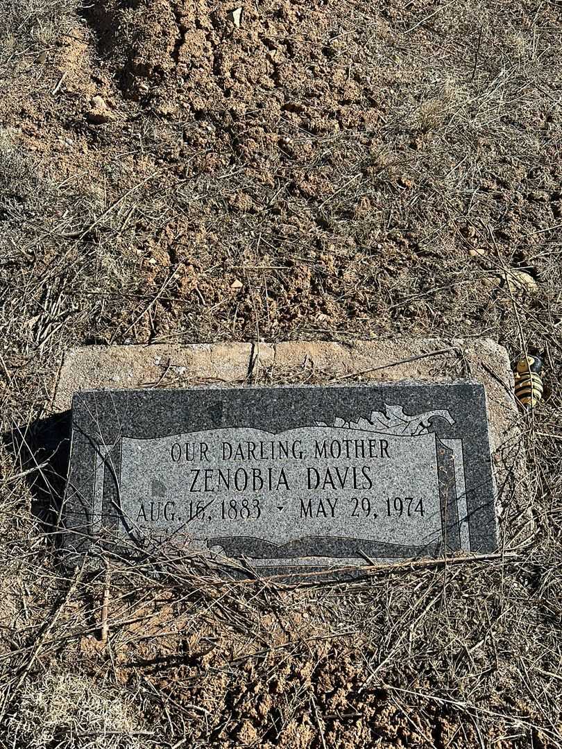 Zenobia Campbell Davis's grave. Photo 1
